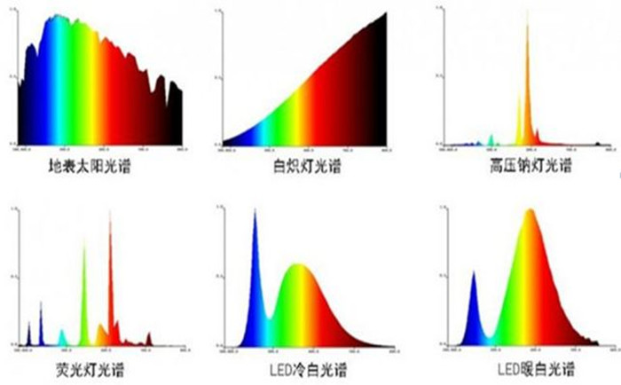 凝膠成像系統光源介紹
