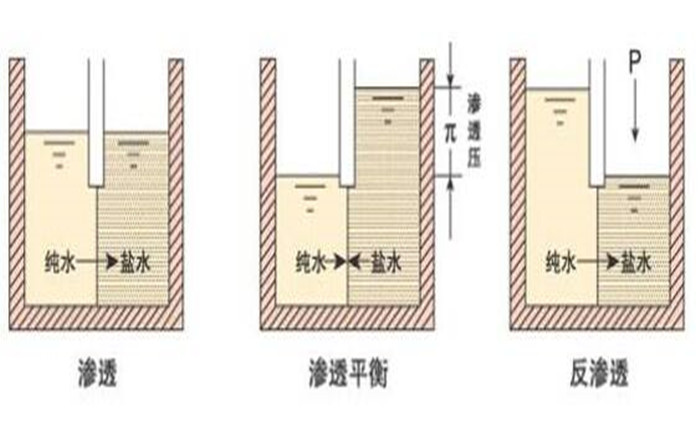 純水系統工作原理介紹