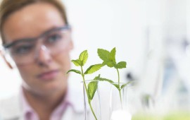 農業大學植物學研究中心